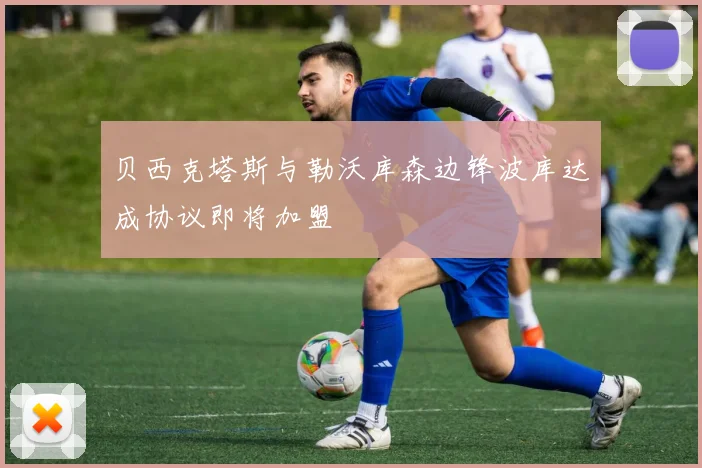 贝西克塔斯与勒沃库森边锋波库达成协议即将加盟